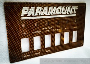 paramount carbon fiber panel